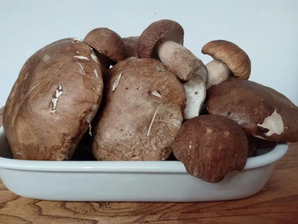 Ristorante Rosticceria da Paolo e Alba_Firenzuola_slider_image_3