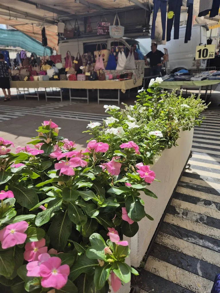 Abbie Taylor_Bar Pasticceria Garibaldi_Colle di Val d'Elsa_recensione