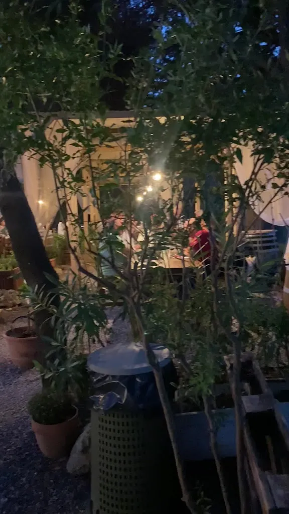 Anx Boshk_Azienda Agricola Rascioni & Cecconello_Fonteblanda_review