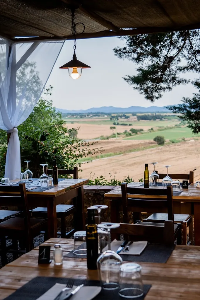 Azienda Agricola Rascioni & Cecconello_Fonteblanda_slider_image_1