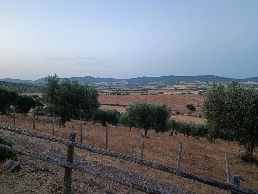 Arianna F_Agriturismo Buratta_Fonteblanda_review