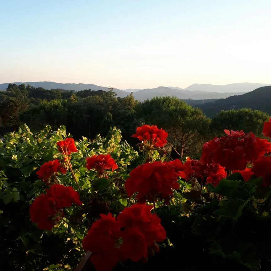 Sebastian Guelfi_Emili_Fosdinovo_review