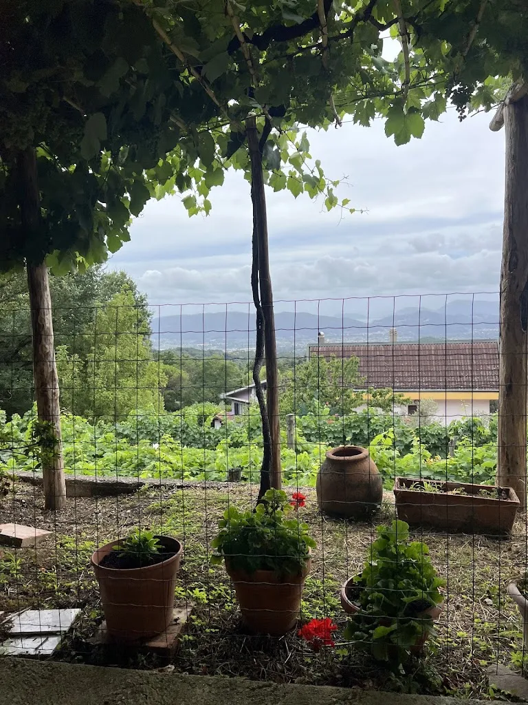 N_Agriturismo Gignola_Fosdinovo_review