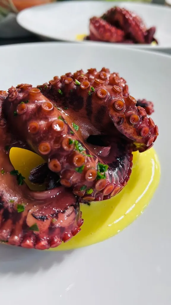 Morgante_Gavorrano_slider_image_2