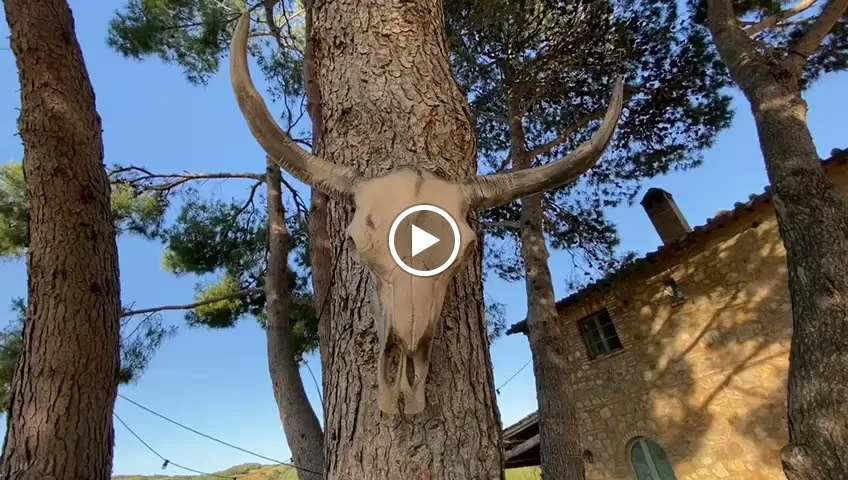 Ristorante Maremmana_Gavorrano_slider_image_2