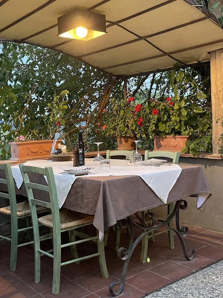 Adina M _La Cantinetta Di Rignana_Greve in Chianti_review