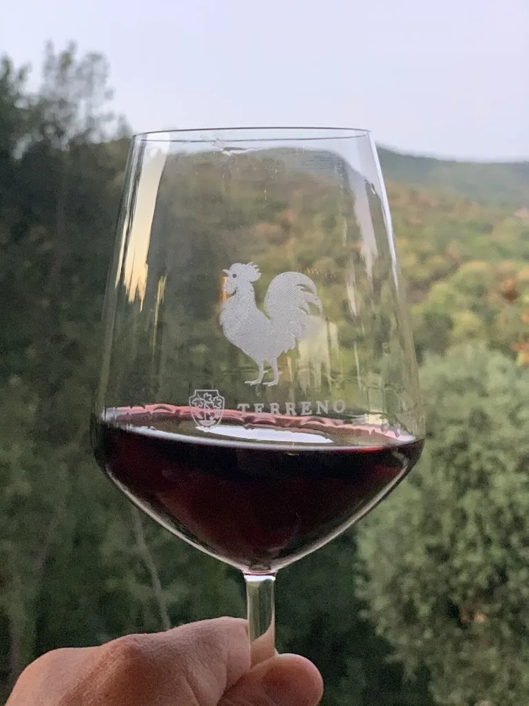 Terreno Azienda Agricola Srl_Greve in Chianti_slider_image_2