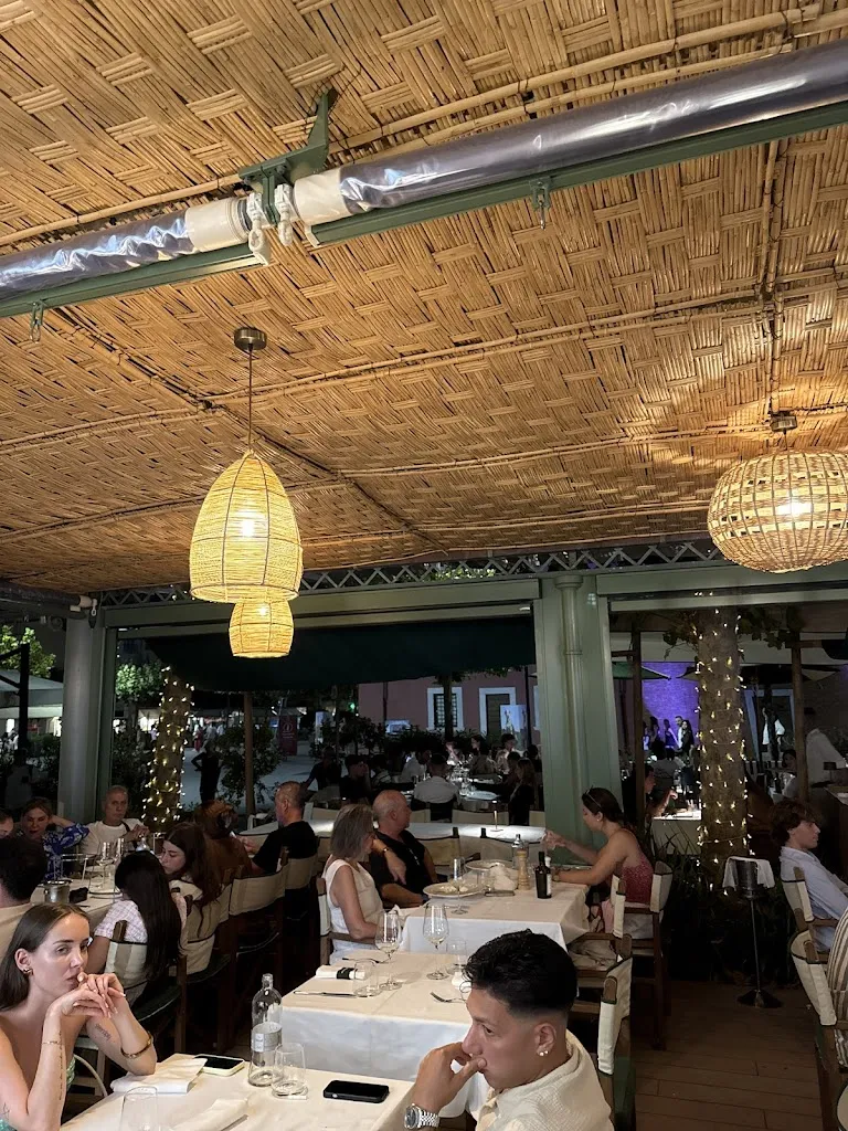 Bob Meowly_Casamare_Forte dei Marmi_review