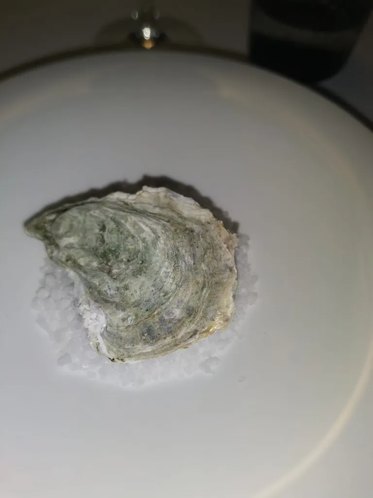 Menu_Ristorante Lux Lucis_Forte dei Marmi_image_5