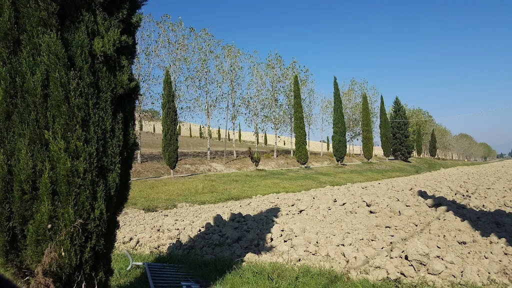 P_Osteria Biostè_Guasticce_review