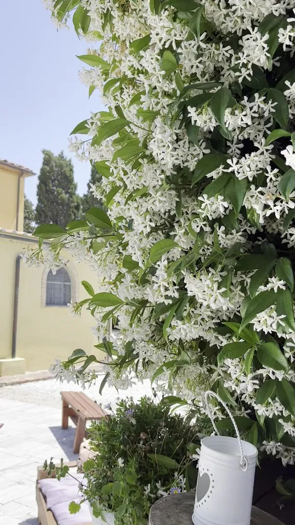 The Farmhouse Ca Spelli_Guasticce_slider_image_2