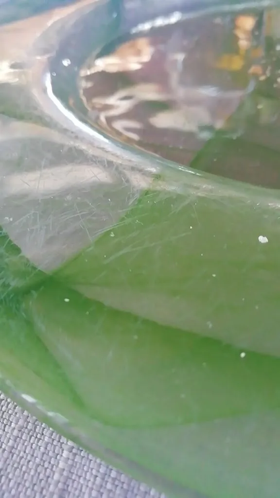 Ristorante Il Boschetto Follonica_Follonica_slider_image_2