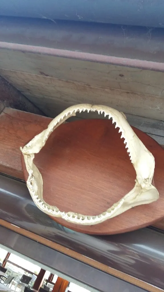 mp v_Cerboli Osteria del Mare_Follonica_review