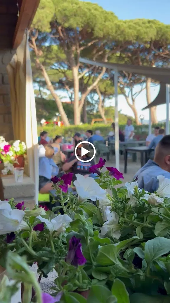 Vedrai Ristorante Pizzeria presso Camping Tahiti_Follonica_slider_image_2