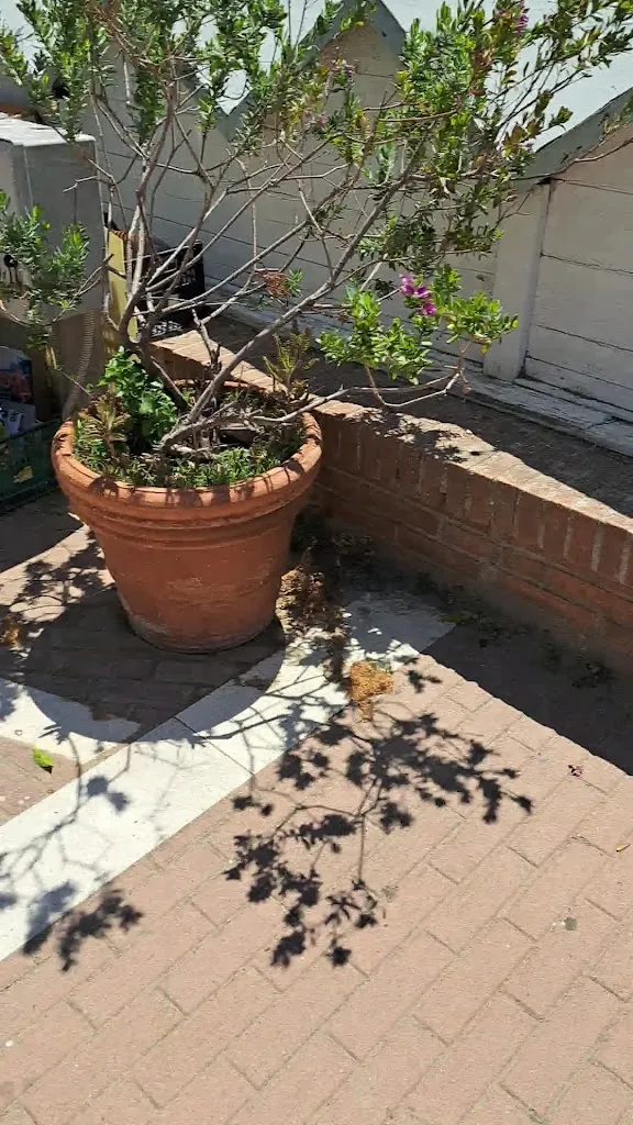 Menu_Ristorantino l’ombra_Follonica_image_1