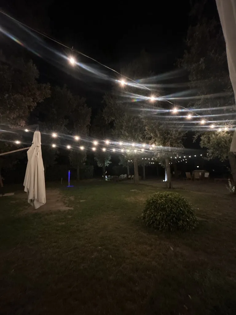 Olivia Giannetti_Black Wood Ristoro Agricolo Grosseto_Grosseto_review