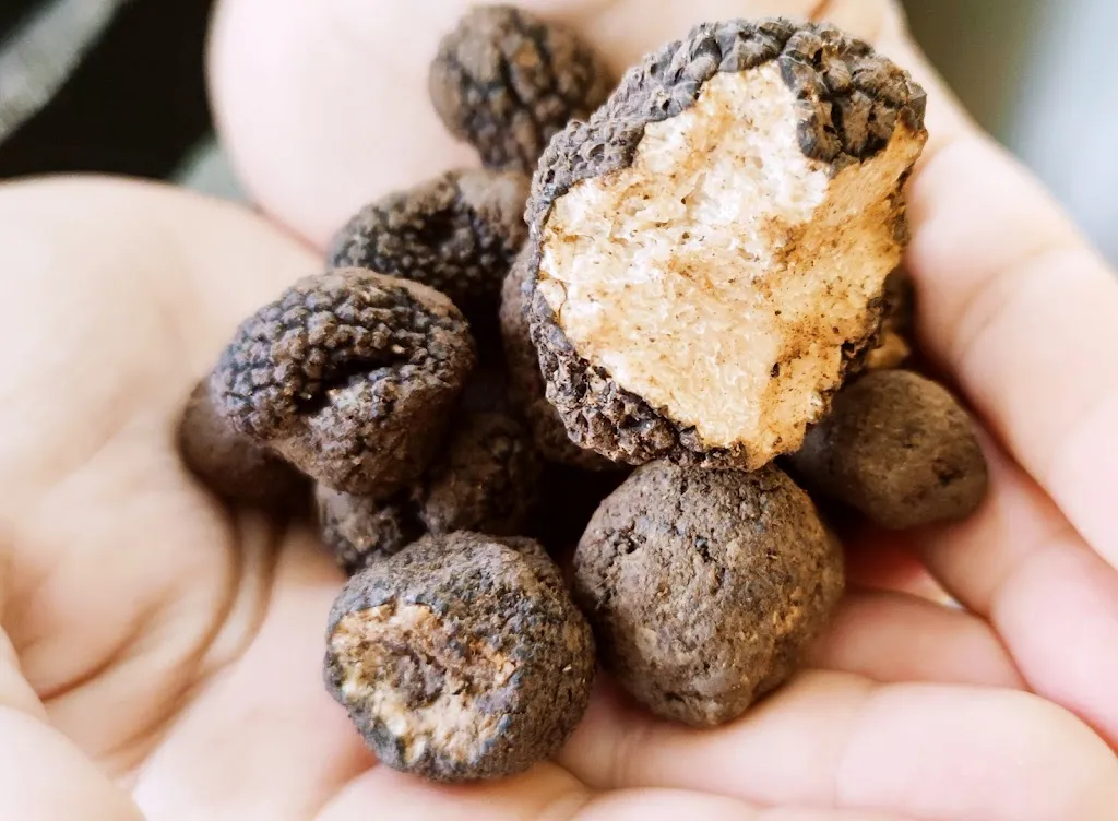 Maremma bona_Grosseto_slider_image_3