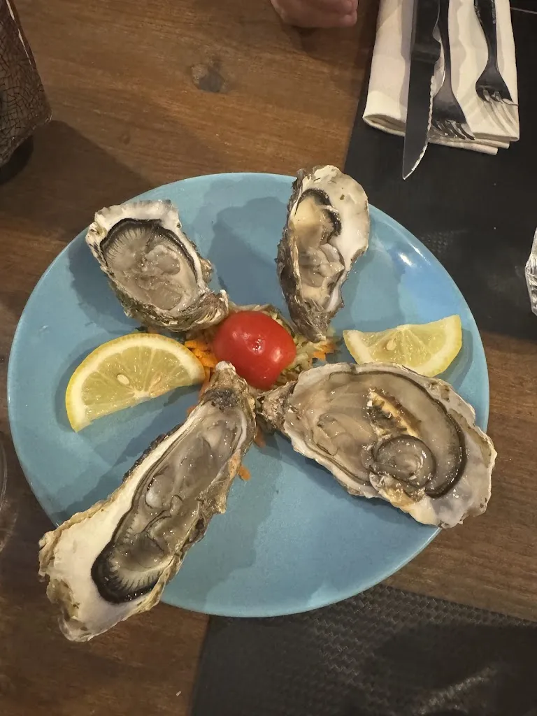 Bettina Bajsz_Controbottega_Grosseto_review