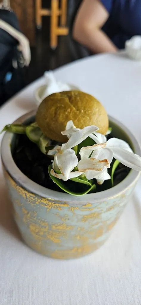 Terminiello Alberto _Gabbiano 3.0_Grosseto_Bewertung