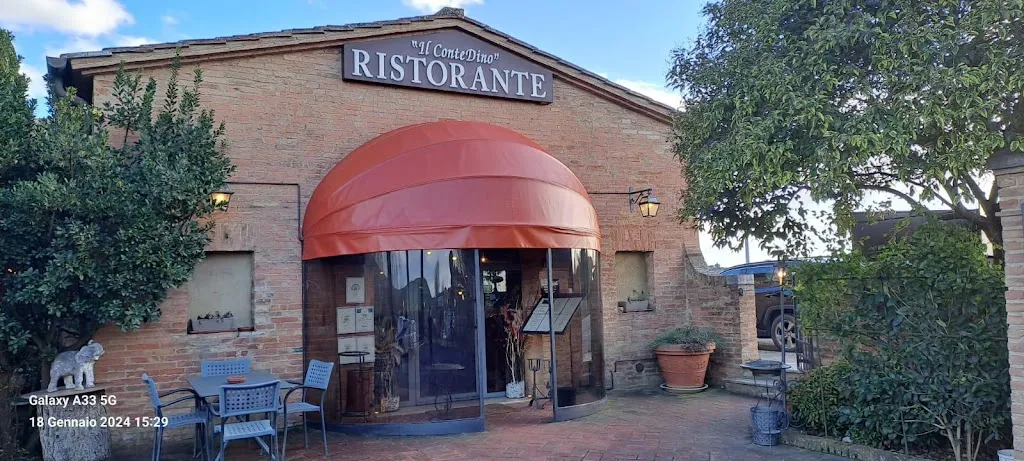 Il ConteDino_Isola D'Arbia_slider_image_1