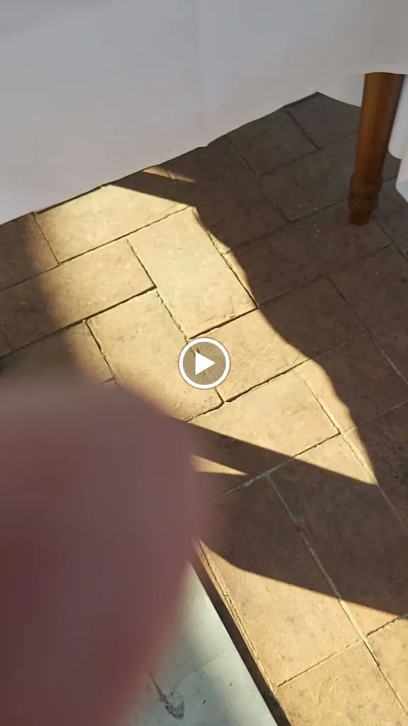 Il ConteDino_Isola D'Arbia_slider_image_2