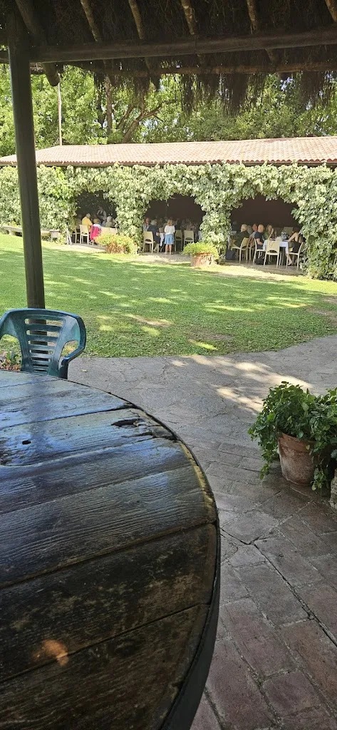 Gianluca P_Agriturismo Pulcianese_Isola D'Arbia_review