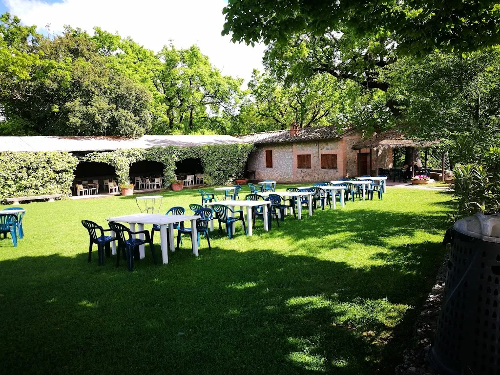 Agriturismo Pulcianese_Isola D'Arbia_slider_image_2