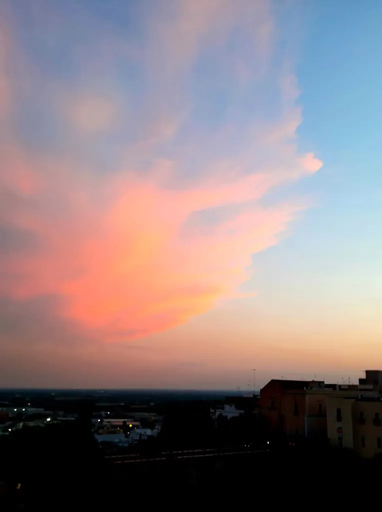 Elfo Alessandro Tolkien_New Magazine_Massafra_review