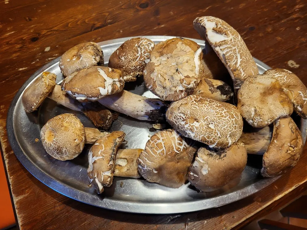 Adam Wanczura_Osteria Babazuf Siena_Isola D'Arbia_review