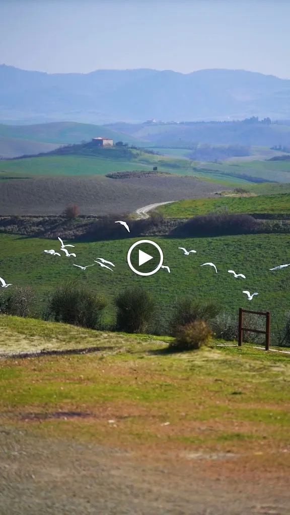 Anteprima del Silenzio_Lajatico_slider_image_2