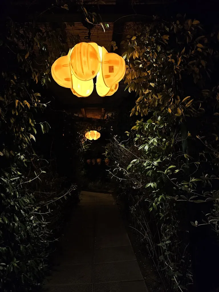 Sira Emese_L'AjA_Lajatico_review