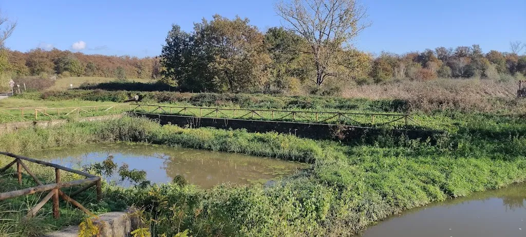 Segni dell'Auser_Le Morette_Larciano_review