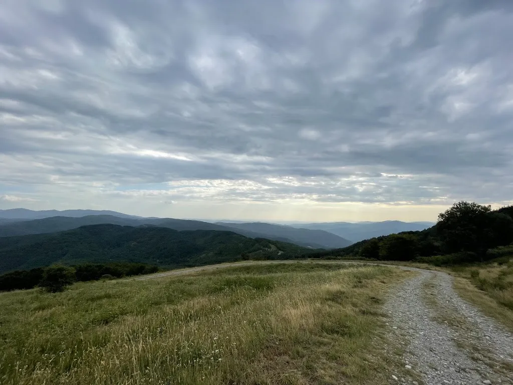 Michael Fynboe_Mandri_Londa_review