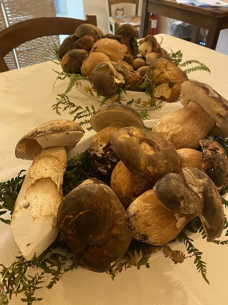 Nilde Rivo_Donna Argentina Agriristoro_Magliano in Toscana_review