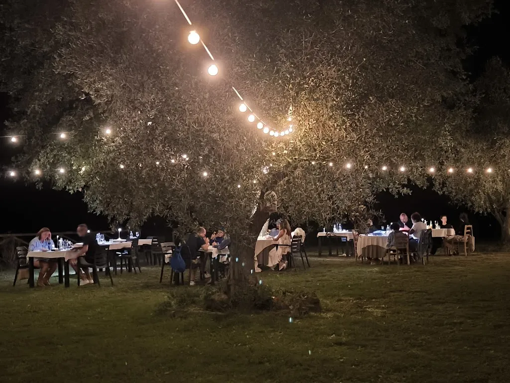 Dario Cinquegrana_Donna Argentina Agriristoro_Magliano in Toscana_review