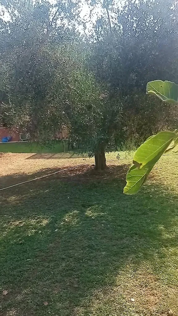 Agriturismo Fusini_Magliano in Toscana_slider_image_2