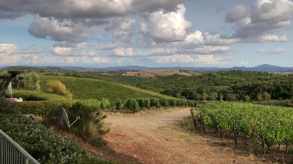 Fattoria di Magliano_Magliano in Toscana_slider_image_1