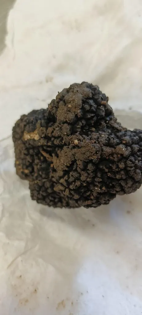 Menu_Trattoria a Marsi_Magliano in Toscana_immagine_5