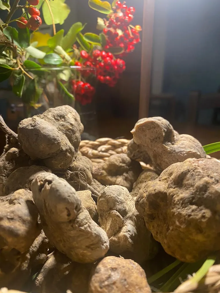 Menu_Trattoria a Marsi_Magliano in Toscana_immagine_7