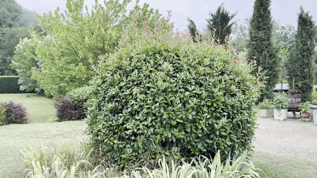 Osteria I'Casolare_Loro Ciuffenna_slider_image_2