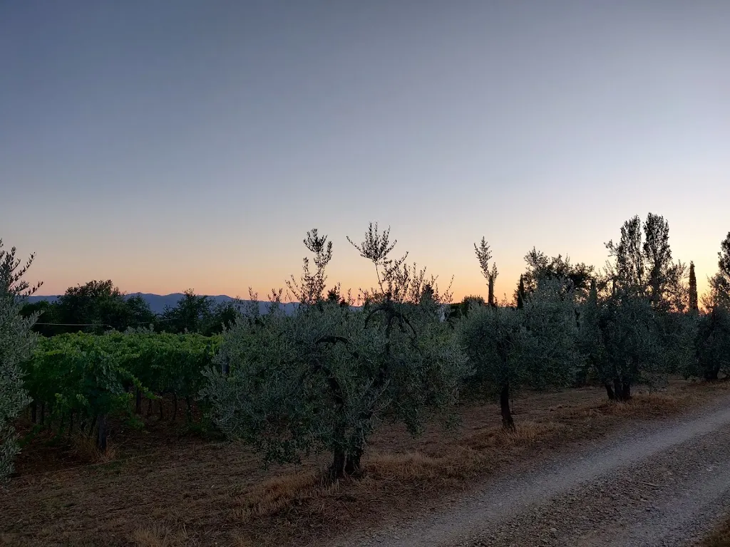 Annelore Jans_Osteria de l'Acquolina_Loro Ciuffenna_recensione