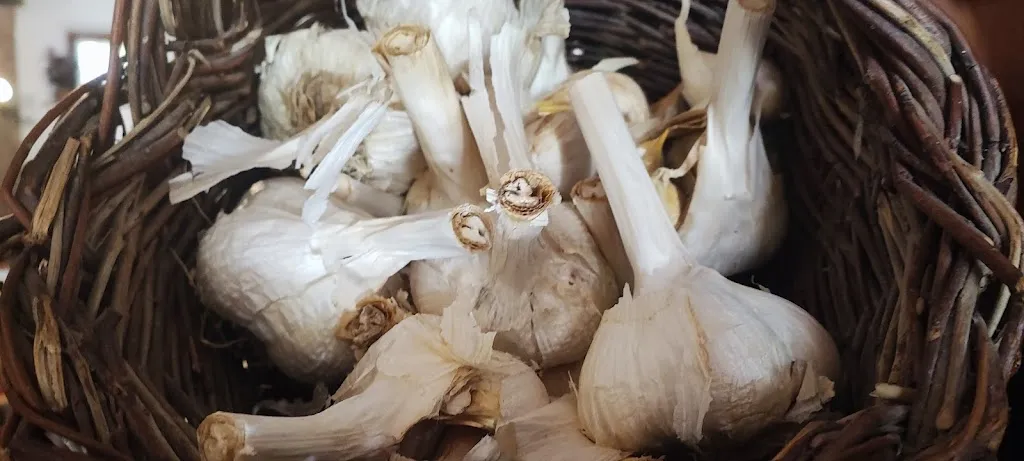 Menu_Ristorante Osteria La Vecchia Rota_Marciano della Chiana_image_8