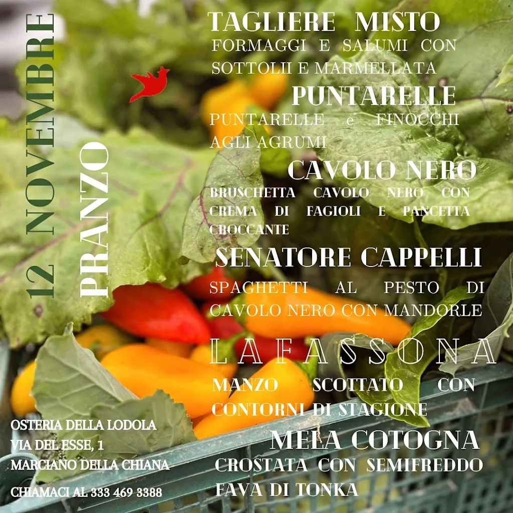 Menu_La Cucina Della Lodola_Marciano della Chiana_image_1