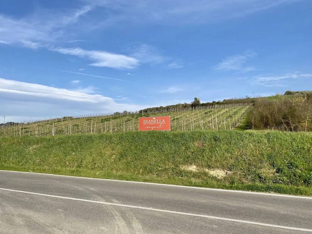 Davide Romano Biagiotti_Il Magazzino Dianella_Marcignana_review