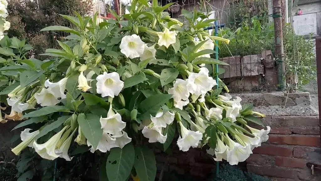 ARCI Marcignana_Marcignana_slider_image_3