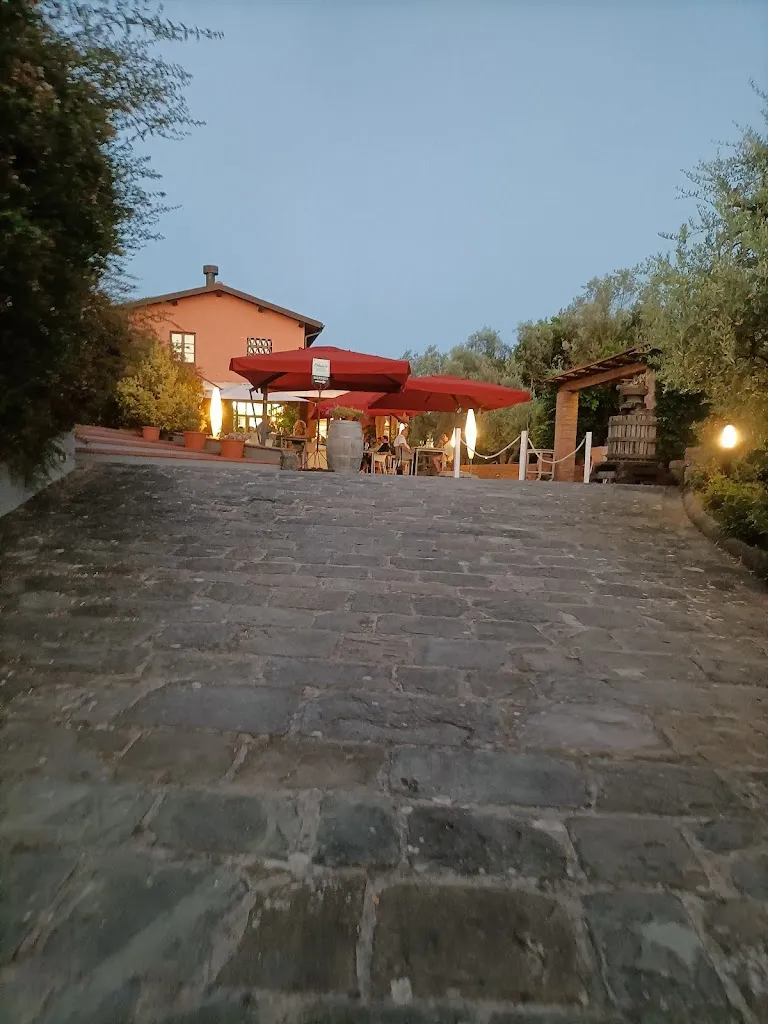 Giuseppe Iannelli_Saladier Vinci - La Trattoria dell'Ortolano_Marcignana_recensione