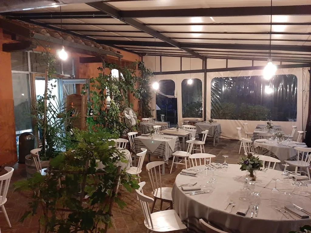 Saladier Vinci - La Trattoria dell'Ortolano restaurant in Marcignana