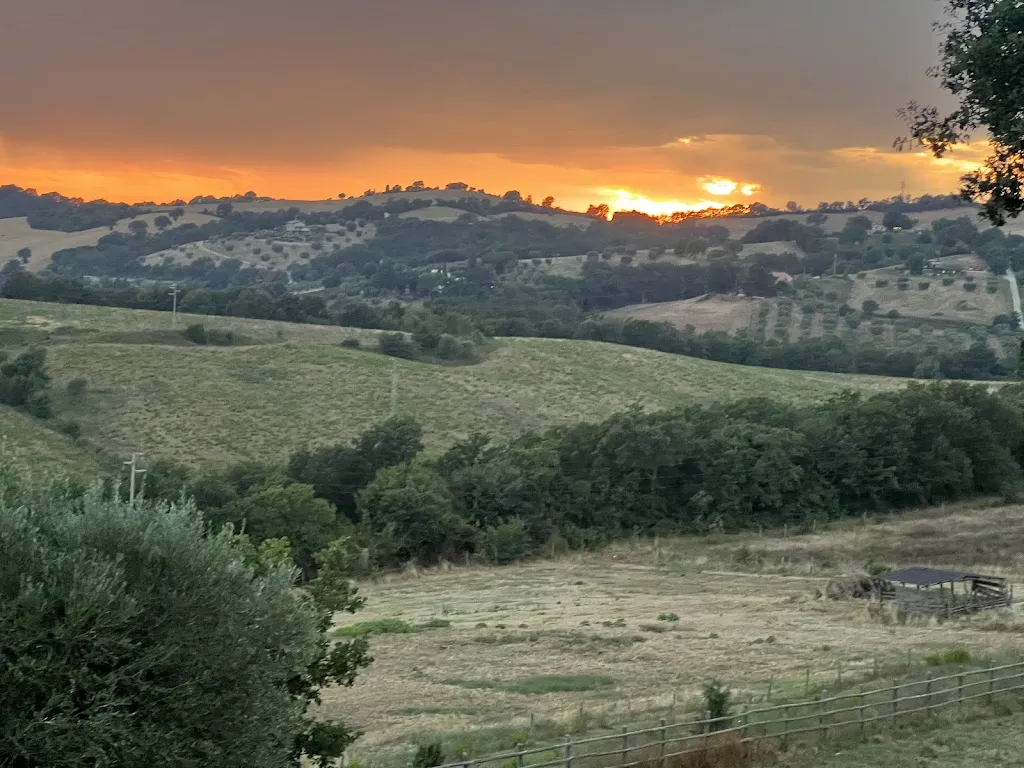 Selma D'Souza_Ristorante Le Chiuse Manciano_Manciano_review