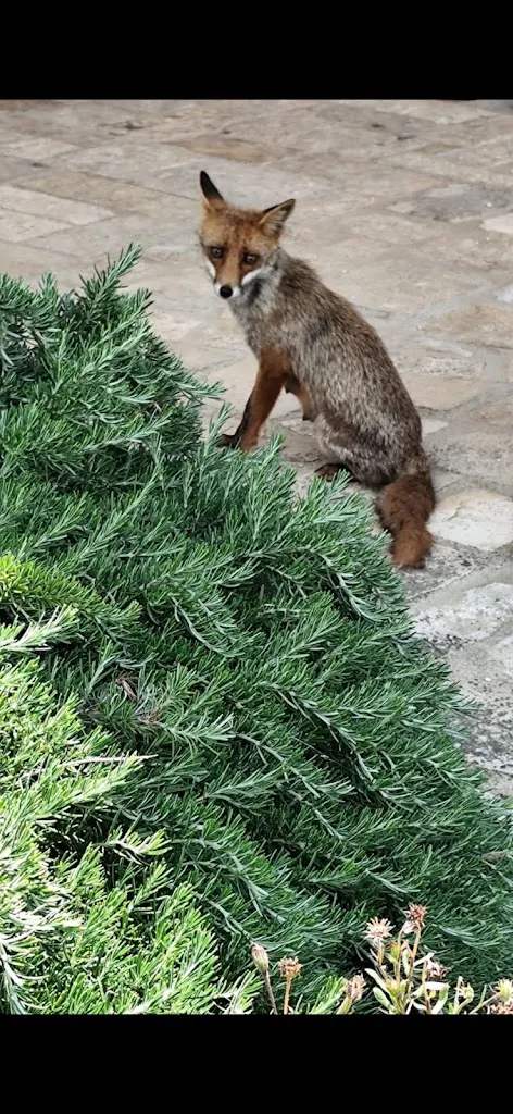 Andrea Vincenzo_Masseria Cicerone_Massafra_review