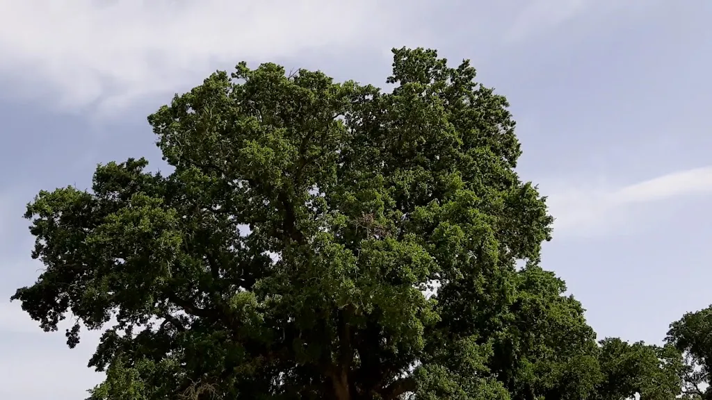 Masseria Cicerone_Massafra_slider_image_1